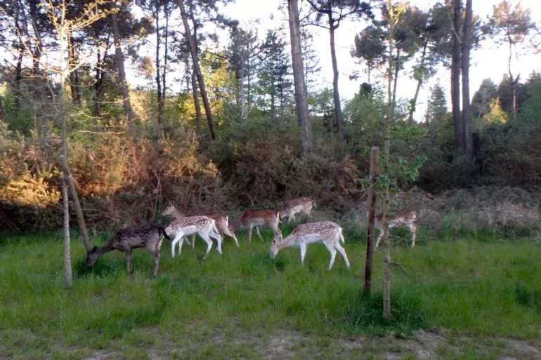 P5050248 - Test de l'appareil photo compact étanche : Olympus TOUGH TG-870