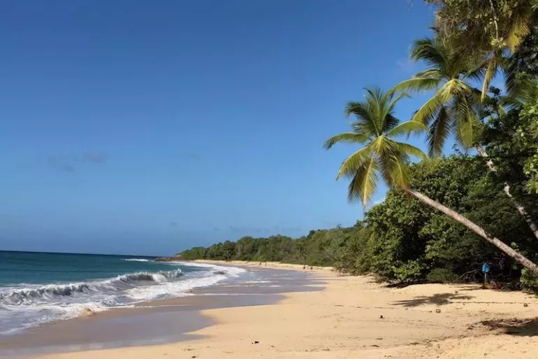 sainte anne - Séjour Martinique en décembre...