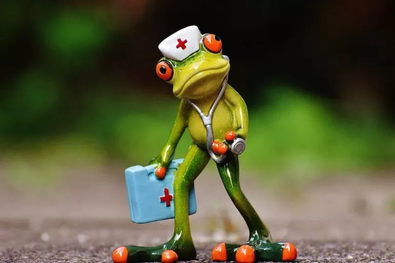 frog - Et si le NAS tombe en panne, est-ce que je perds toutes mes données ?