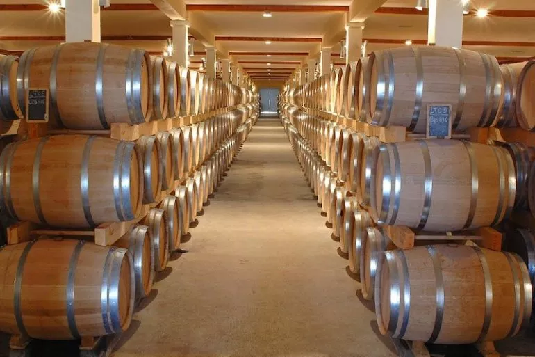 cave vin 2021 - Peut-on installer un NAS dans une cave ? Et dans un placard ?