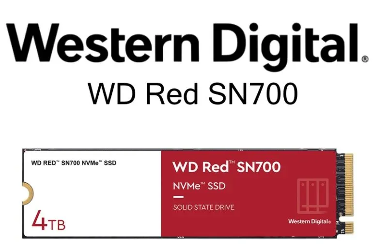 WD Red SN700 - WD Red SN700 : SSD NVMe pour les NAS