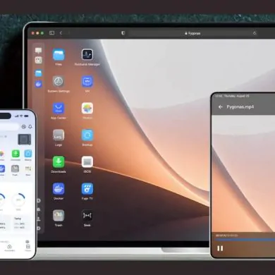FygosOS NAS DIY - FygoOS : OS gratuit pour NAS DIY et...